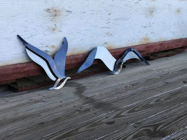 Seagull Small