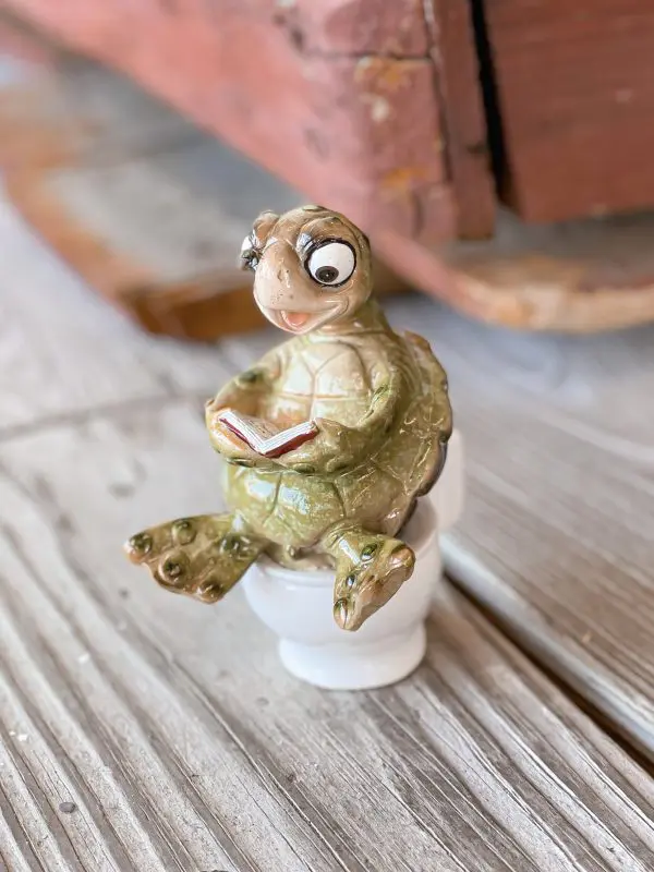 Turtle on Toilet - Book