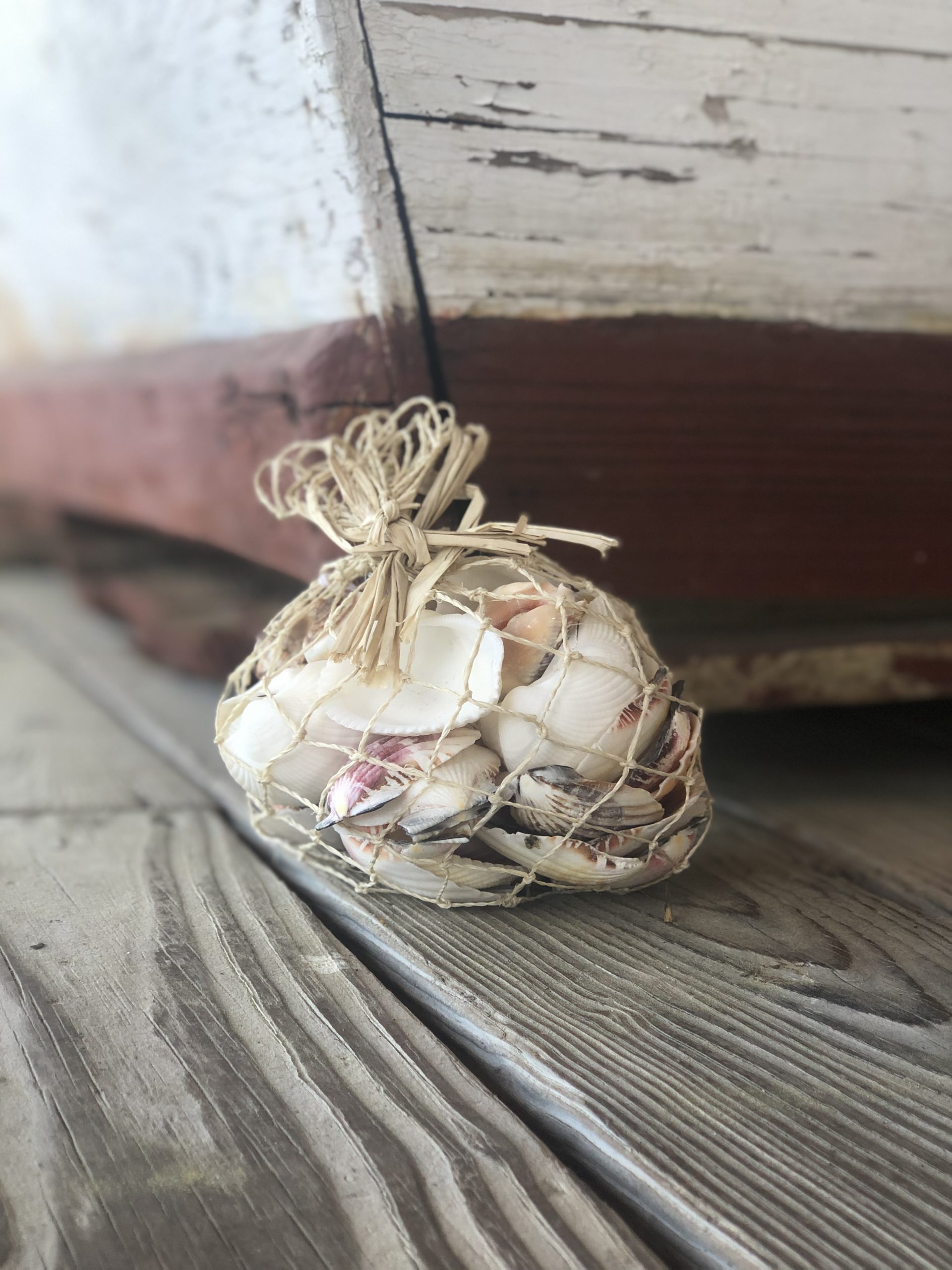 Seashell Bag - Small