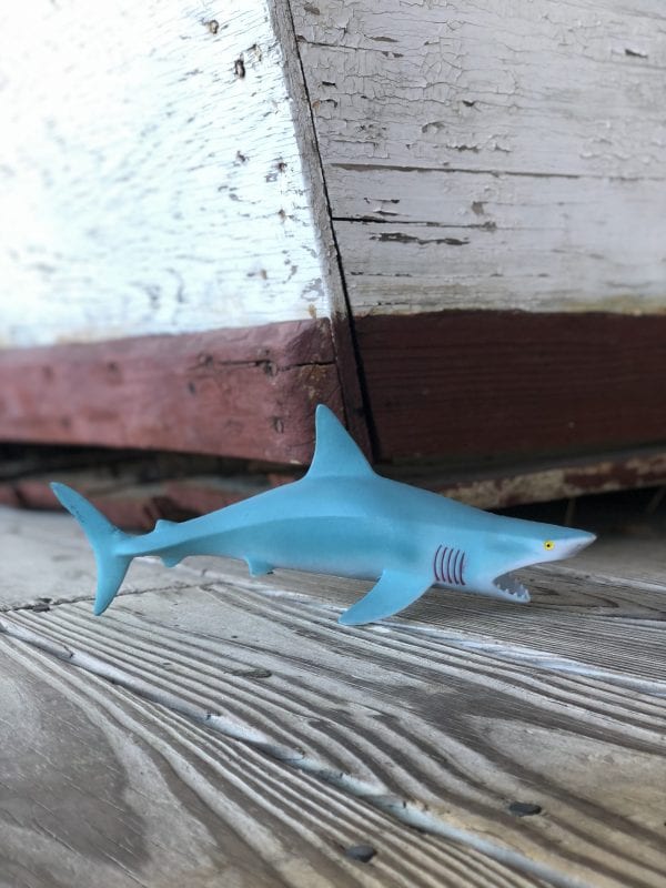 Squeaky Shark 1