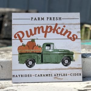 Farm Fresh Pumpkins - Large