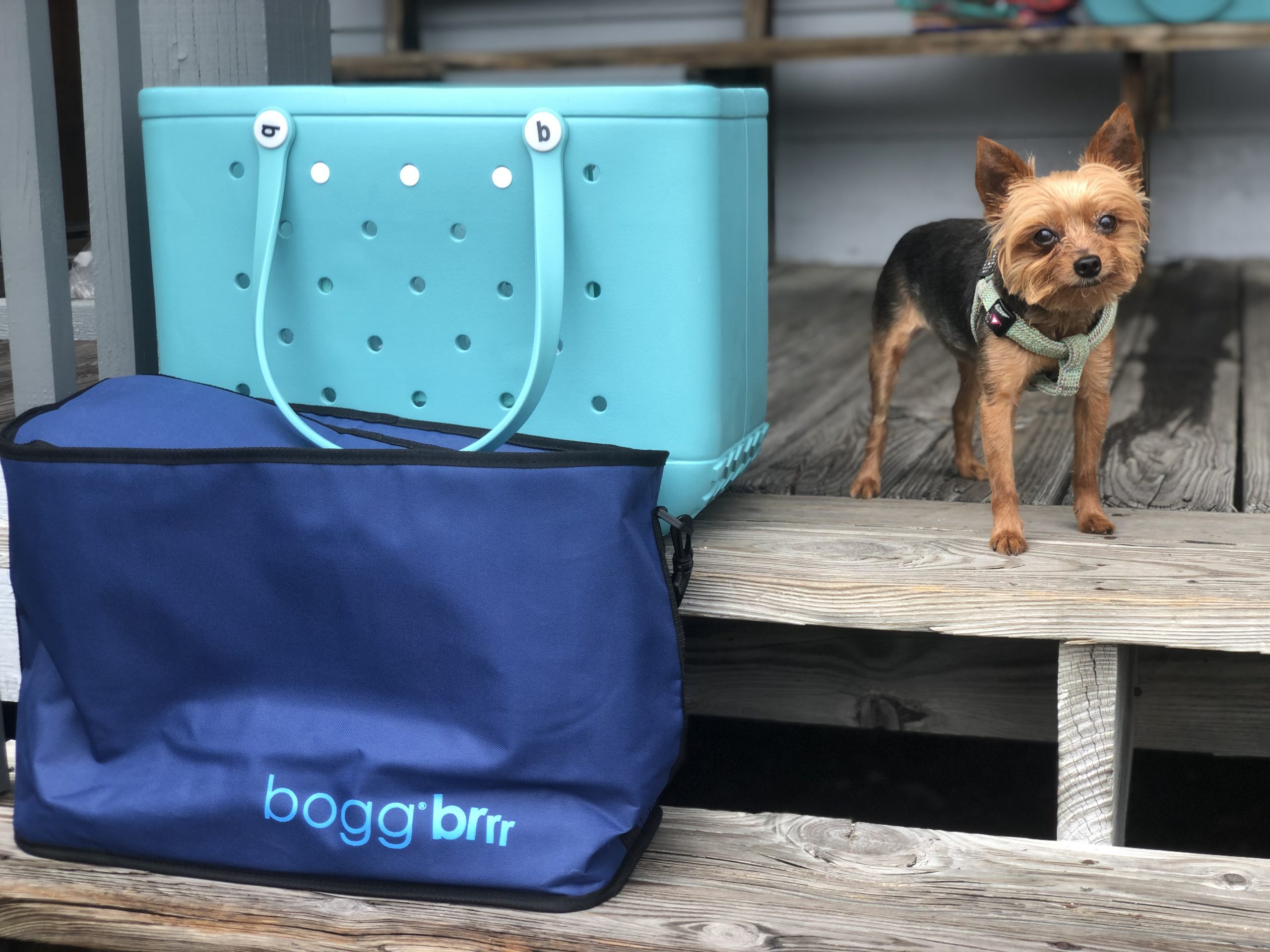 Bogg Bag Review & Size Comparison 