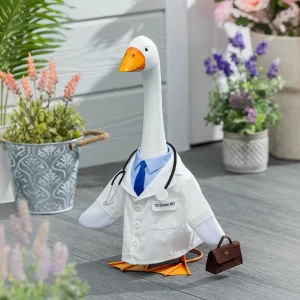 Giddy the Porch Goose: Outfit - Doctor